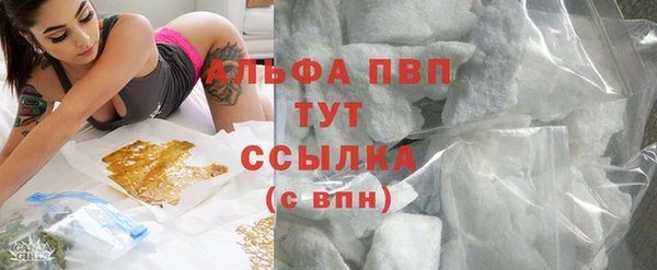 стафф Алексин
