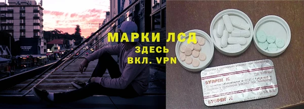 стафф Алексин