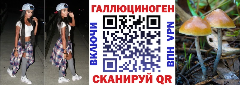 Псилоцибиновые грибы прущие грибы  Касли 